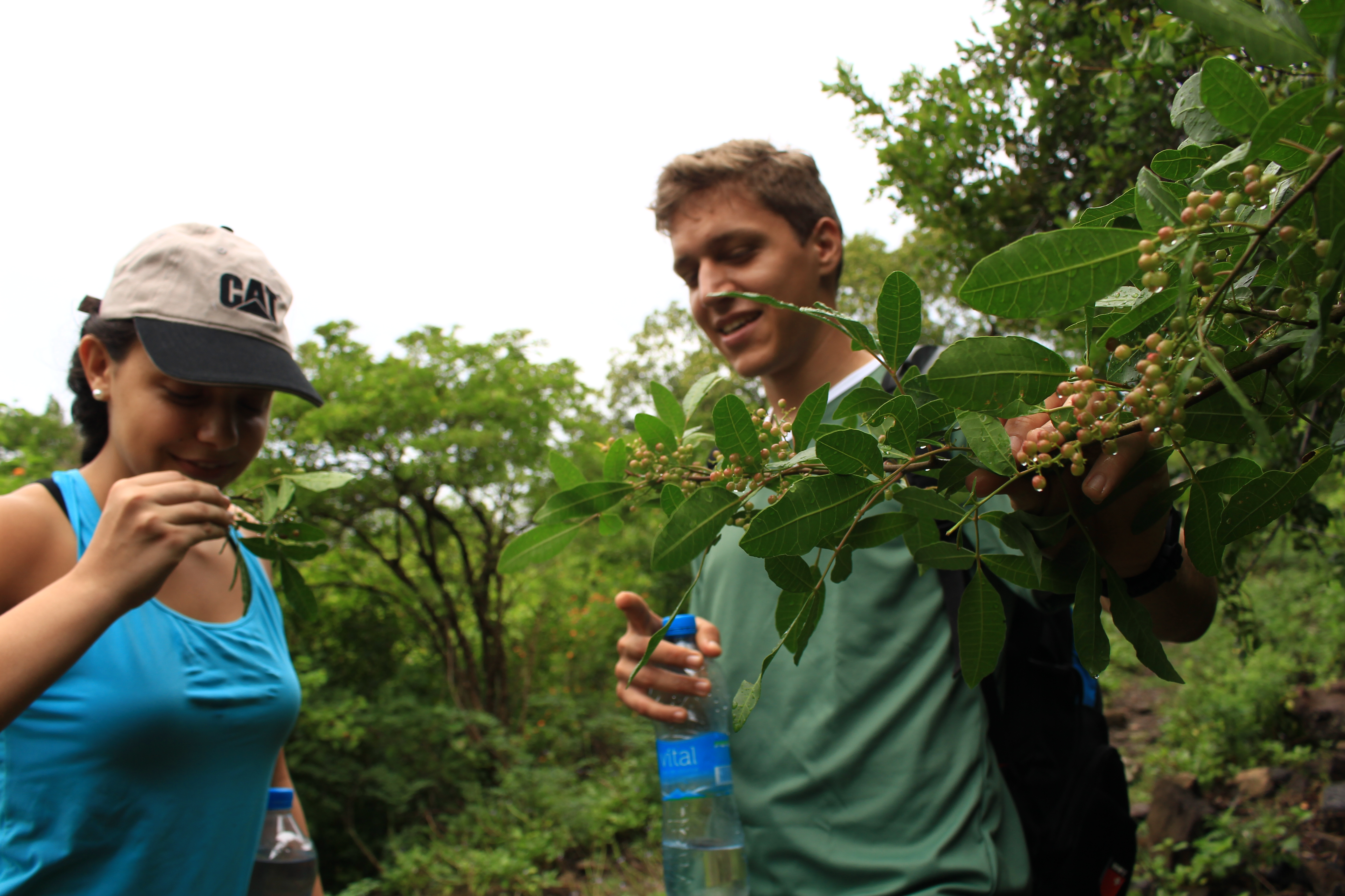 The Waterfalls Hike 200mD+
