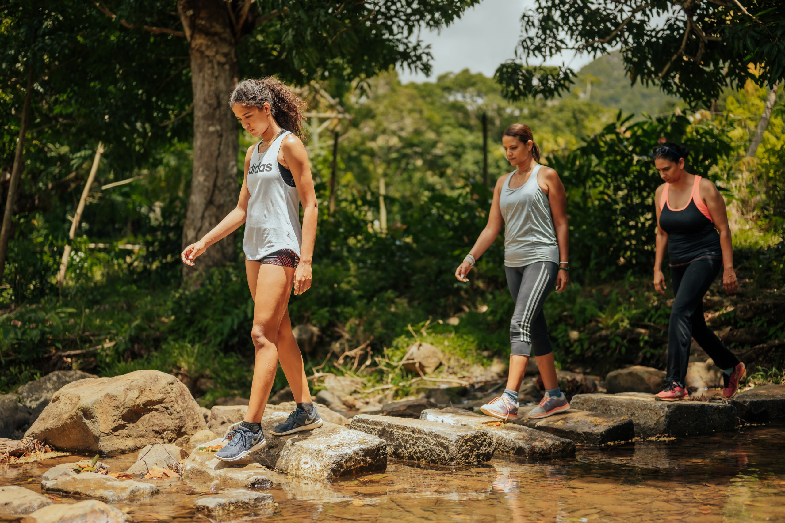 Mindfulness Forest Walk